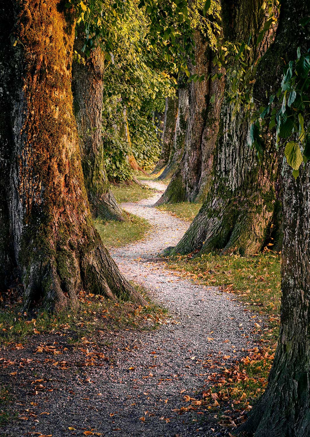 psiconeuroimmunologia-3